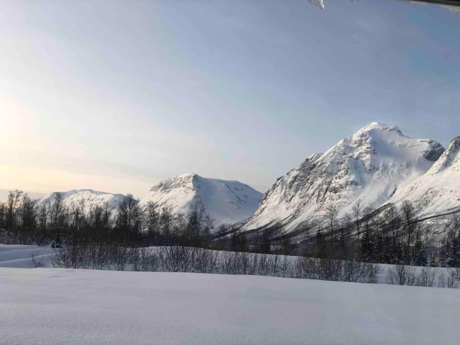 Mountainside Lodge - Breivikeidet Tromsø Exterior foto