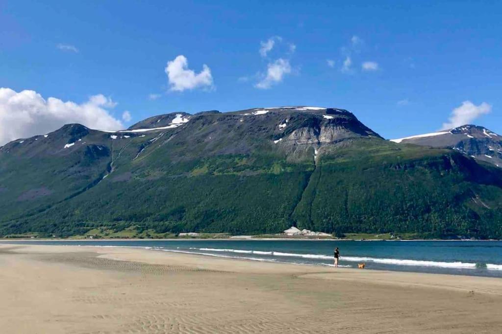 Mountainside Lodge - Breivikeidet Tromsø Exterior foto